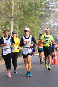 BIB: 455, 4547529, 47676
                            <button type="button" onclick="openModal(10355824)" class="btn btn-primary btn-sm float-right btn-popup" data-toggle="modal" data-target=".modal-high-quality">
                        <i class="fas fa-shopping-cart"></i> Add to Cart
                    </button>
                                            <button type="button" onclick="isThisMe(10355824, true)" class="btn btn-success btn-sm float-right btn-popup btn-isme hidden" data-toggle="tooltip" data-placement="bottom" title="นี่คือรูปของคุณใช่ไหม คลิกที่นี่เพื่อเอาเข้าอัลบั้ม">
                        <i class="fas fa-plus"></i> Add to album
                    </button>
                    <button type="button" onclick="isThisMe(10355824, false)" class="btn btn-warning btn-sm float-right btn-popup btn-isnotme hidden">
                        <i class="fas fa-ban"></i> Remove from album
                    </button>